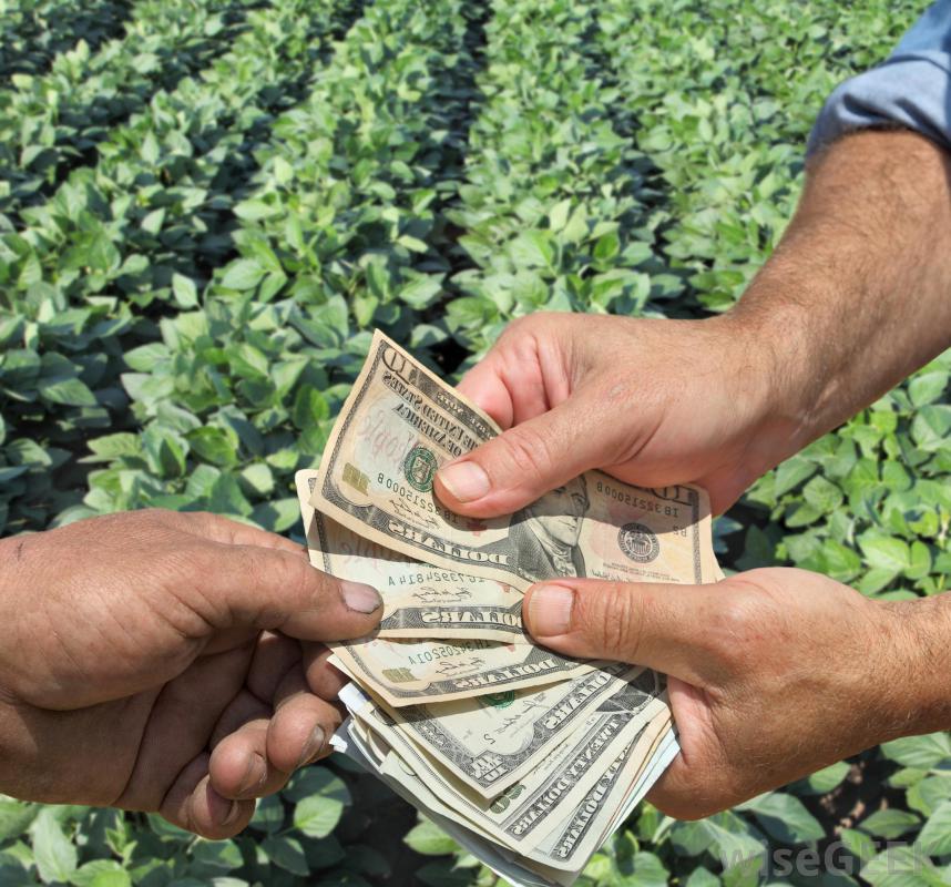 AGRICULTURAL ECONOMICS